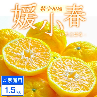 【ご家庭用】媛小春 1.5kg みかん 愛媛県八幡浜市 西宇和地区 希少な幻の柑橘【C25-358】【1715667】