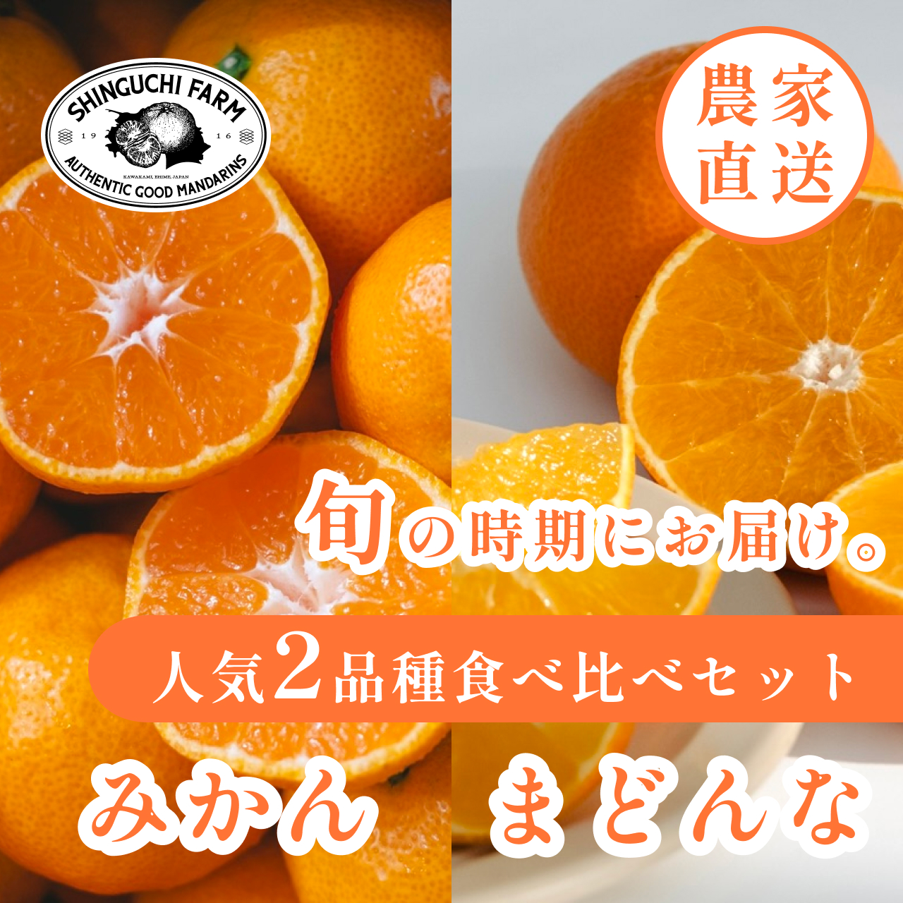 【発送月固定定期便】愛媛フルーツ旬の柑橘 みかん・まどんな 各5kg【H70-79】全2回【4067787】 YWTK078