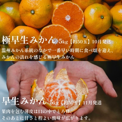 縲千匱騾∵怦蝗コ螳壼ョ壽悄萓ソ縲代梧凾譛溘∫ィョ鬘槭↓繧医k蜻ウ縺ョ驕輔>繧呈・ス縺励縲肴帛ェ帙∩縺九s鬟溘∋豈斐∋縲食70-80縲大ィ3蝗槭4067801縲