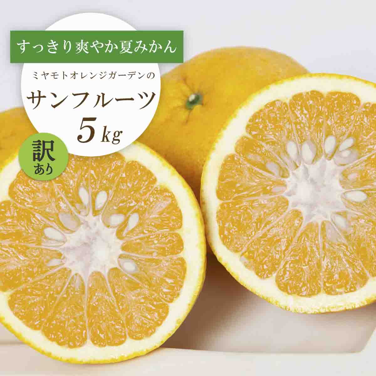 【2026年3月以降発送】さっぱりみずみずしいサンフルーツ(甘夏)5kg【訳あり】【C25-214】【1612630】 YWTAP155