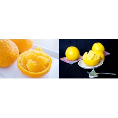 八幡浜産「河内晩柑5kg」「甘夏5kg」初夏の果物食べ比べセット【訳あり】【D56-54】【配送不可地域：離島】【1508604】