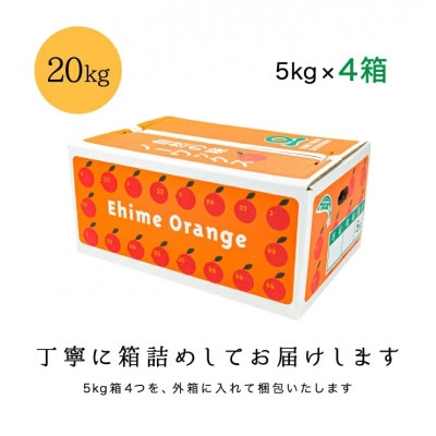 【糖度14.0以上酸1.4以下】糖酸選別品 愛媛産 訳あり不知火(しらぬひ)20kg【H20-62】【配送不可地域：離島】【1620231】