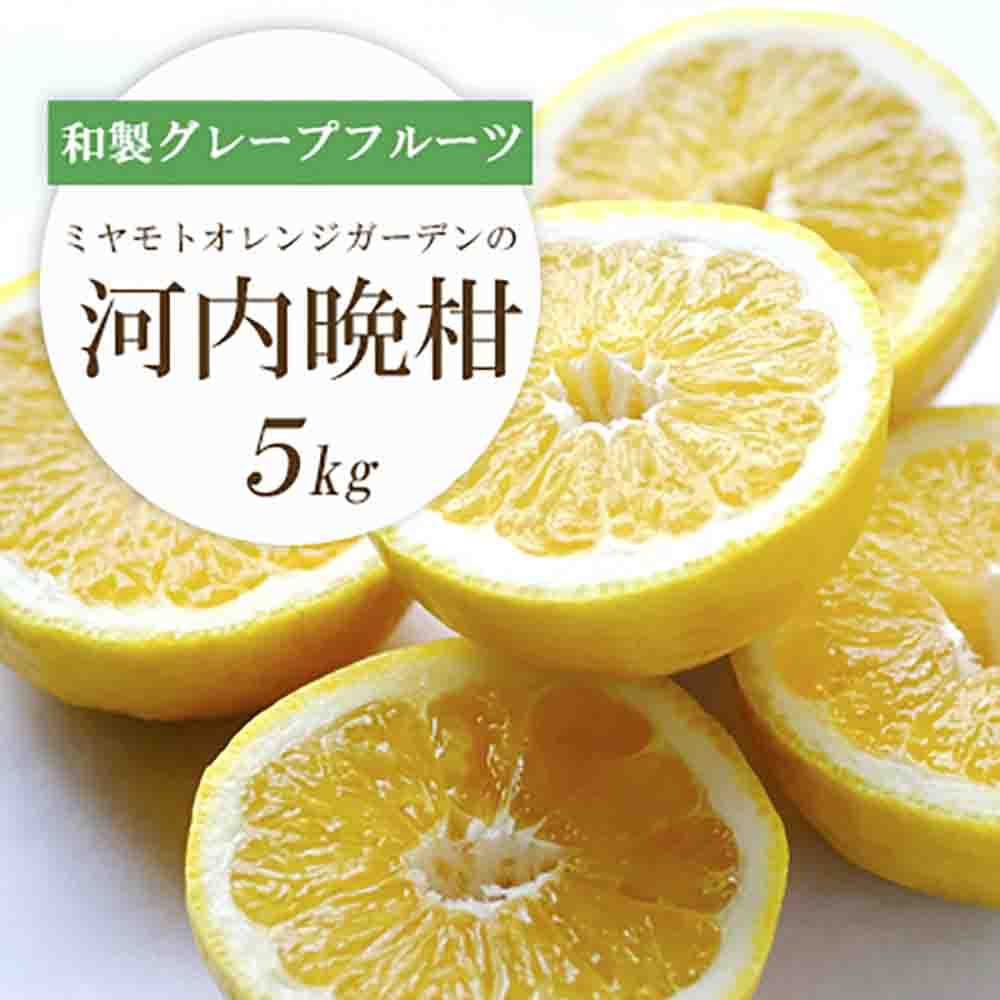 苦味の少ない和製グレープフルーツ 河内晩柑 5kg【D25-130】【配送不可地域：離島】【1151744】 YWTAP073