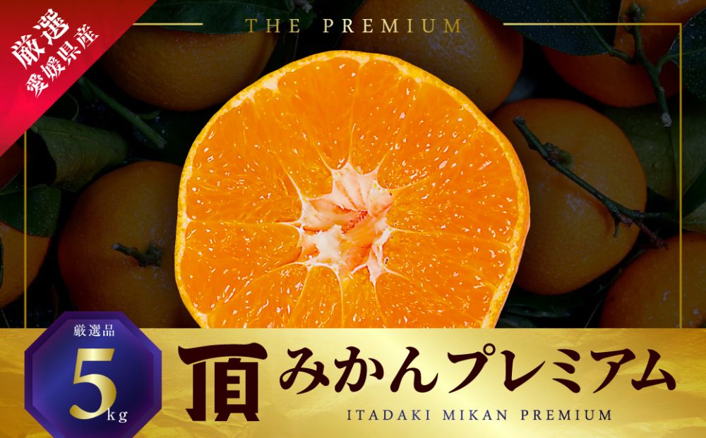 三代目の頂みかんTHEプレミアム【小玉サイズ】5kg【C31-19】【1088576】 YWTAC010
