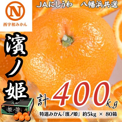 特選みかん「濱ノ姫」計400kg(約5kg×80箱)【H08-81】【1510459】