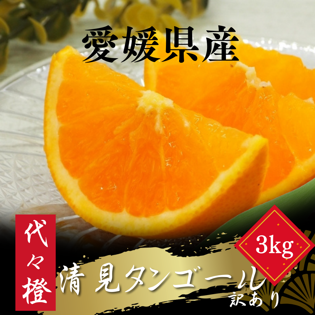 【先行受付】【トロッととろける果実】【訳あり】清見タンゴール 3kg【A83-32】【1623456】 YWTW032