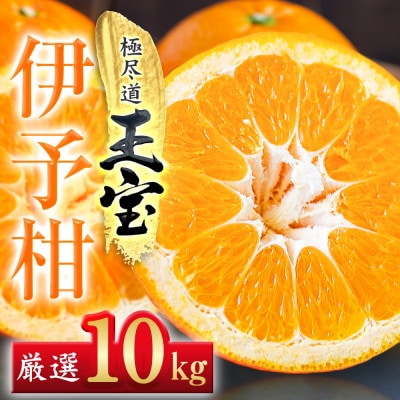【愛媛名産】玉宝伊予柑　10kg【F64-60】【1510839】