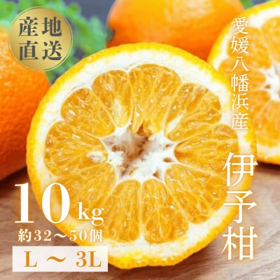 【爽やか香りと柔らかジューシーな果肉】愛媛八幡浜産 宮内伊予柑 10kg【D20-6】【1094591】