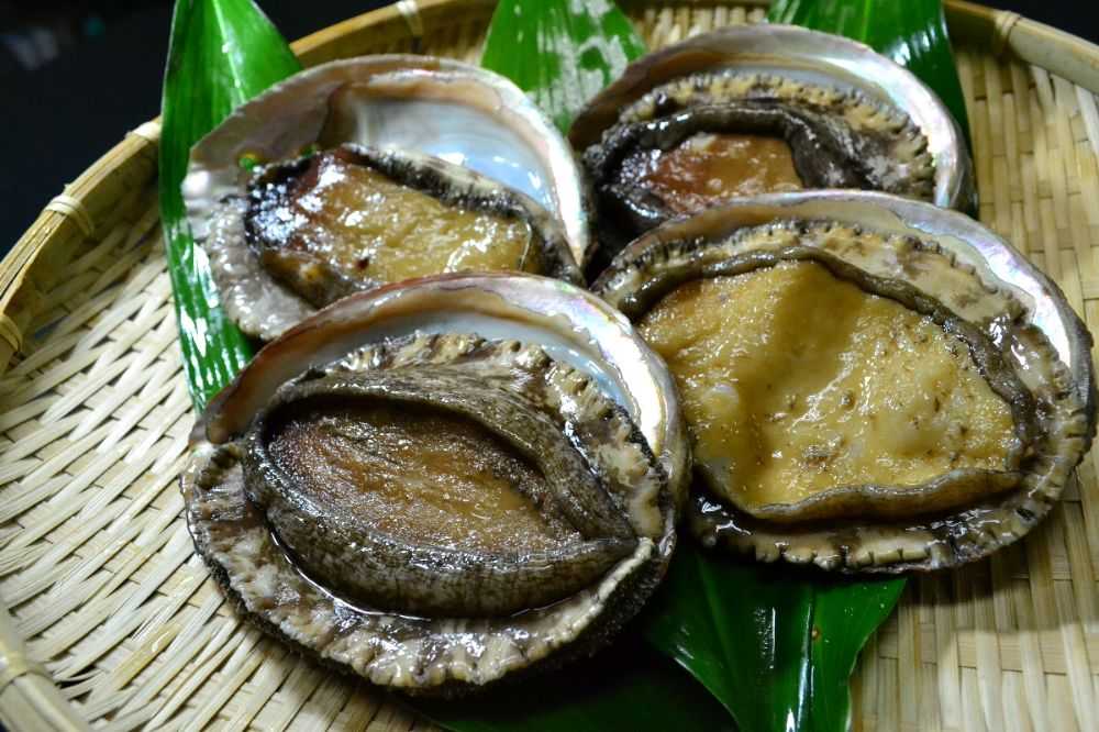 シーフードマイスター厳選　活き生き　大型アワビ　約1kg【H26-8】【配送不可地域：離島・北海道・沖縄県・東北・関東・信越、北陸・東海・九州】【1044329】 YWTAK007