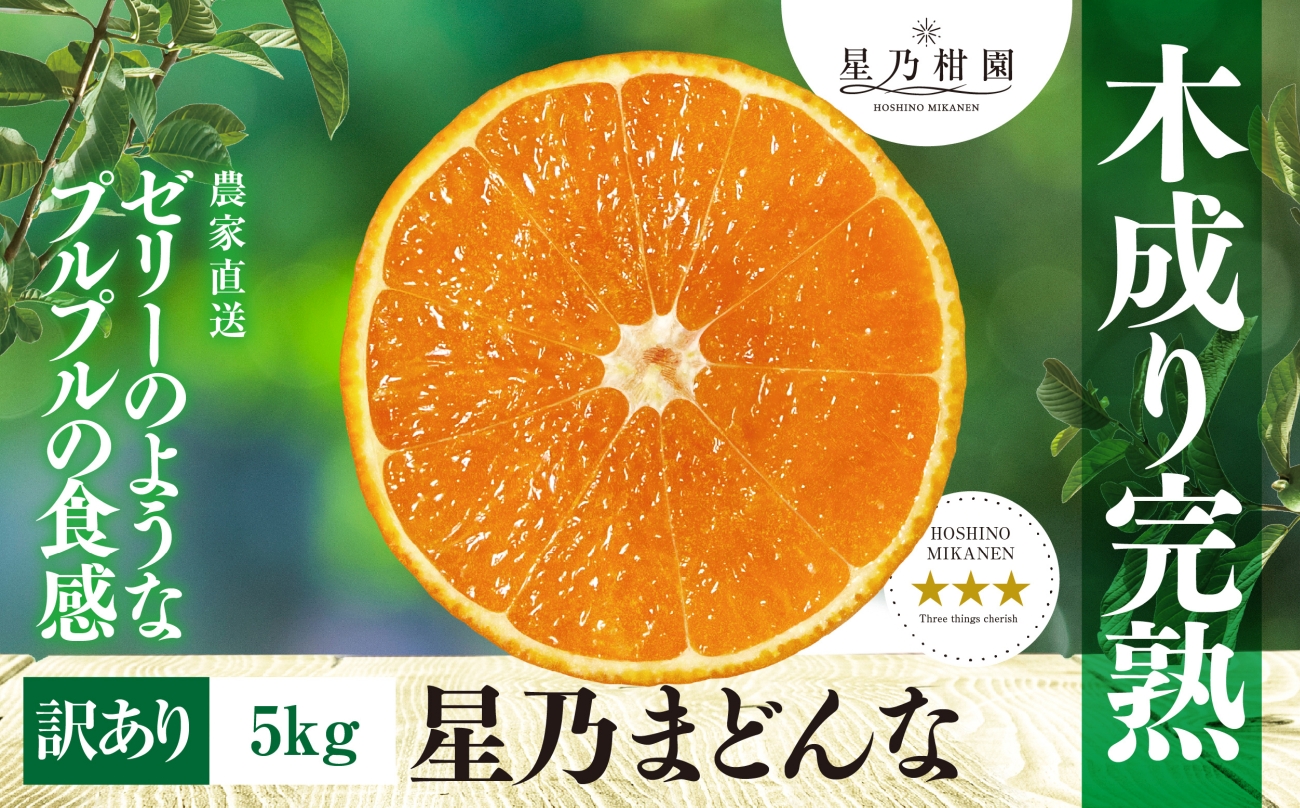 【三つ星ブランド】星乃みかん園の星乃まどんな(5kg)【訳あり】【D45-62】【1339328】