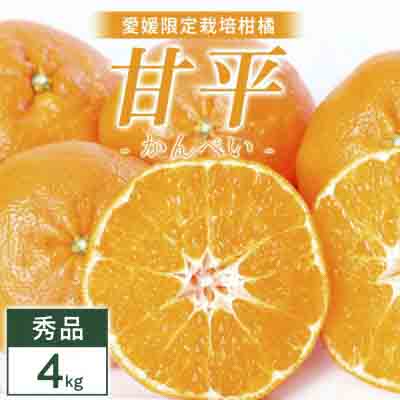 甘平 4kg 愛媛県 八幡浜市 西宇和地区 扁平で濃い味【E25-331】【1714520】 YWTAP272