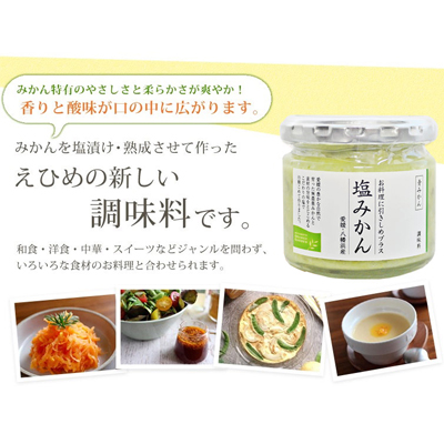 みかんがふわっと香るワンランク上のお料理に!愛媛の新しい調味料 塩みかん4種セット【C25-65】【1228227】 YWTAP037
