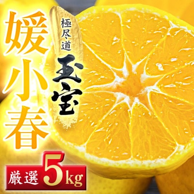 【愛媛名産】玉宝媛小春(ひめこはる)　5kg【H64-87】【1623970】