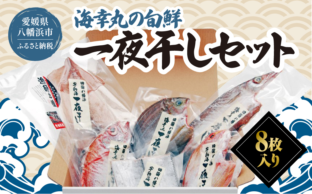 海幸丸の旬鮮一夜干しセット(8枚入)【E15-7】【配送不可地域：離島】【1505185】 YWTAW002