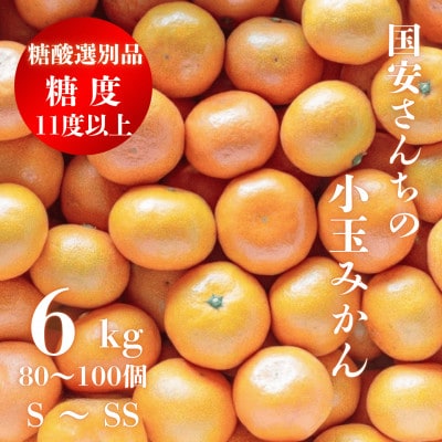 糖度11.0以上　国安さんちの厳選小玉みかん 6kg(3kg×2箱)【F20-29】【1323624】