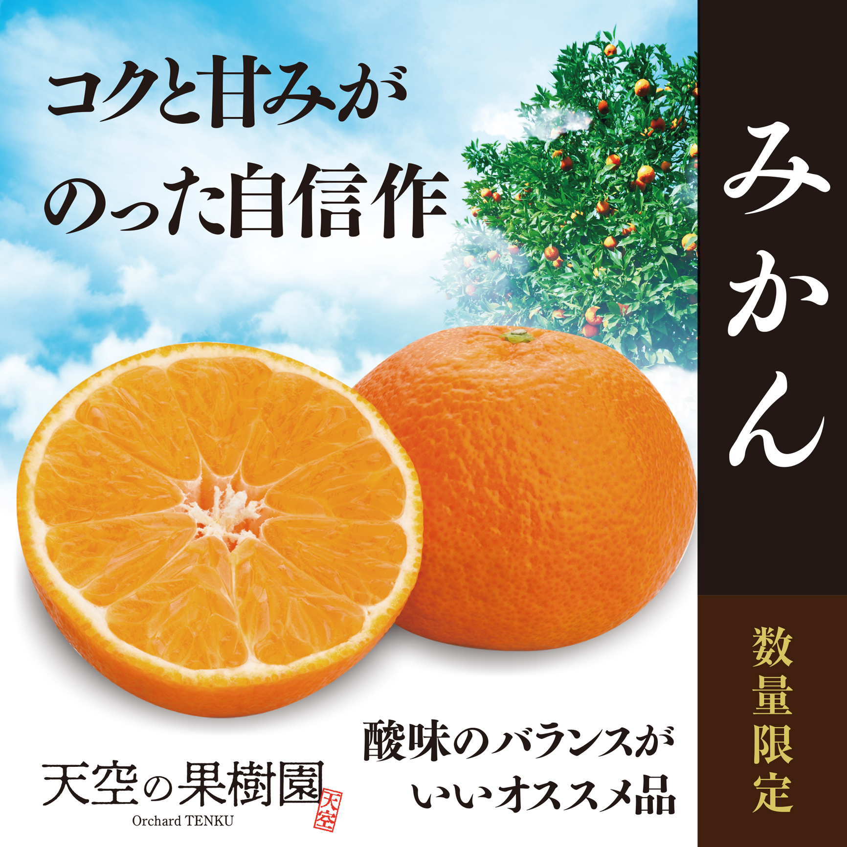【先行受付】天空の果樹園から届くそらみかん (3kg)【A95-7】【1668512】 YWTAQ007
