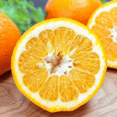 【爽やか香りと柔らかジューシーな果肉】愛媛八幡浜産 訳あり 宮内伊予柑 10kg【D20-16】【1094592】