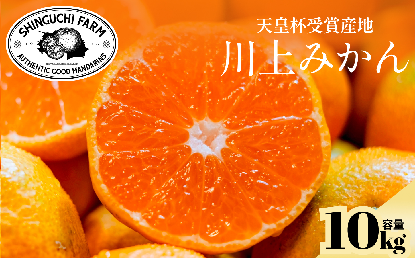 【天皇杯受賞産地】川上みかん 10kg【愛媛県八幡浜市】新口農園厳選【E70-126】【1684224】 YWTK125