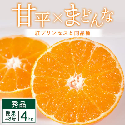 【先行受付】「紅プリンセス」と同品種 4kg みかん 愛媛県 八幡浜市 愛媛果試48号【G25-342】【1715576】 YWTAP283