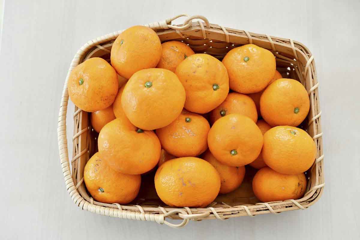 果汁しっかり自然の恵み!「ガキ大将」3kg(小玉サイズ)/日の丸みかん/ご家庭用【C79-16】【1452039】 YWTC016