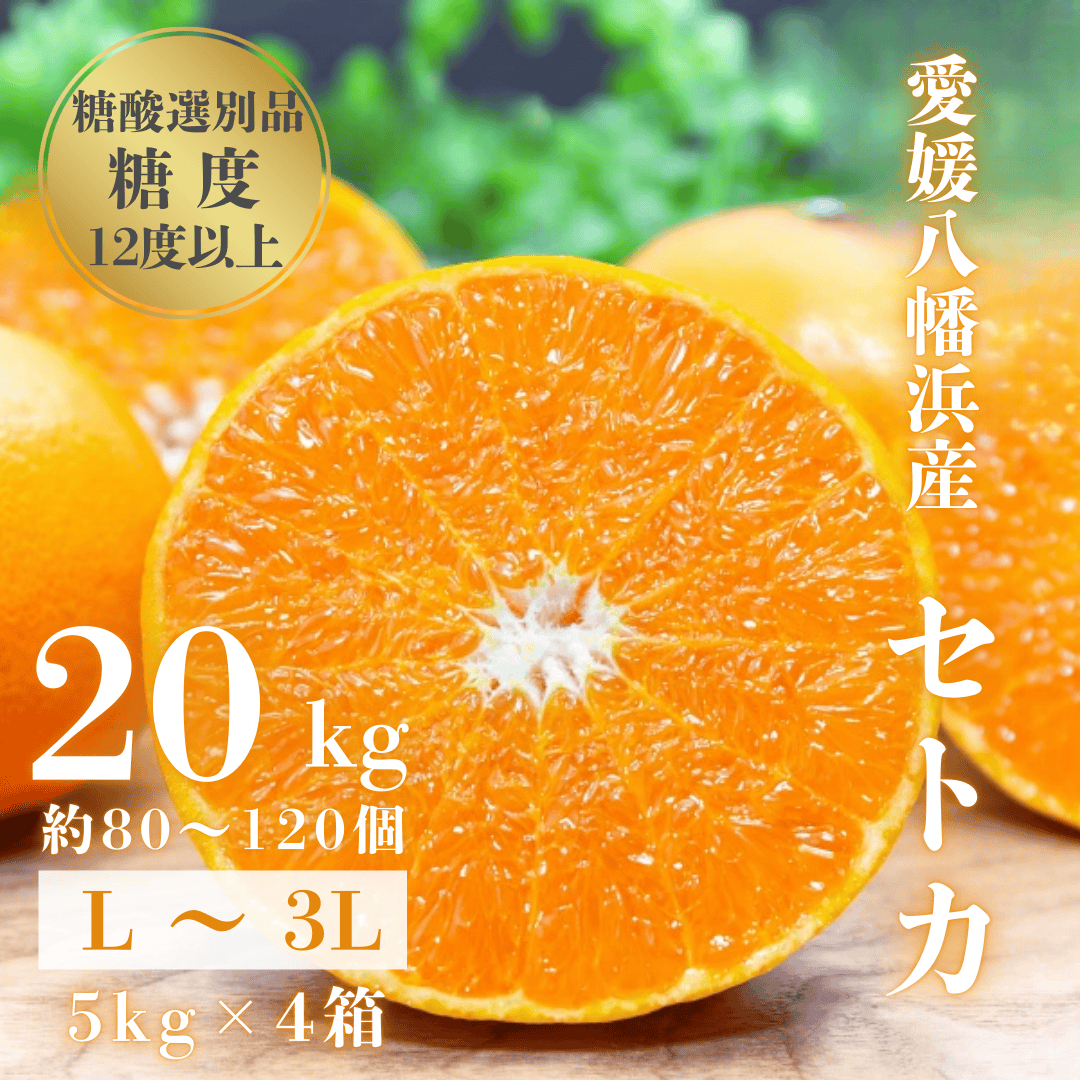 【みかんの大トロ】糖度12.0以上 酸1.4以下 糖酸選別品 愛媛セトカ 20kg【H20-78】【1620333】 YWTI073