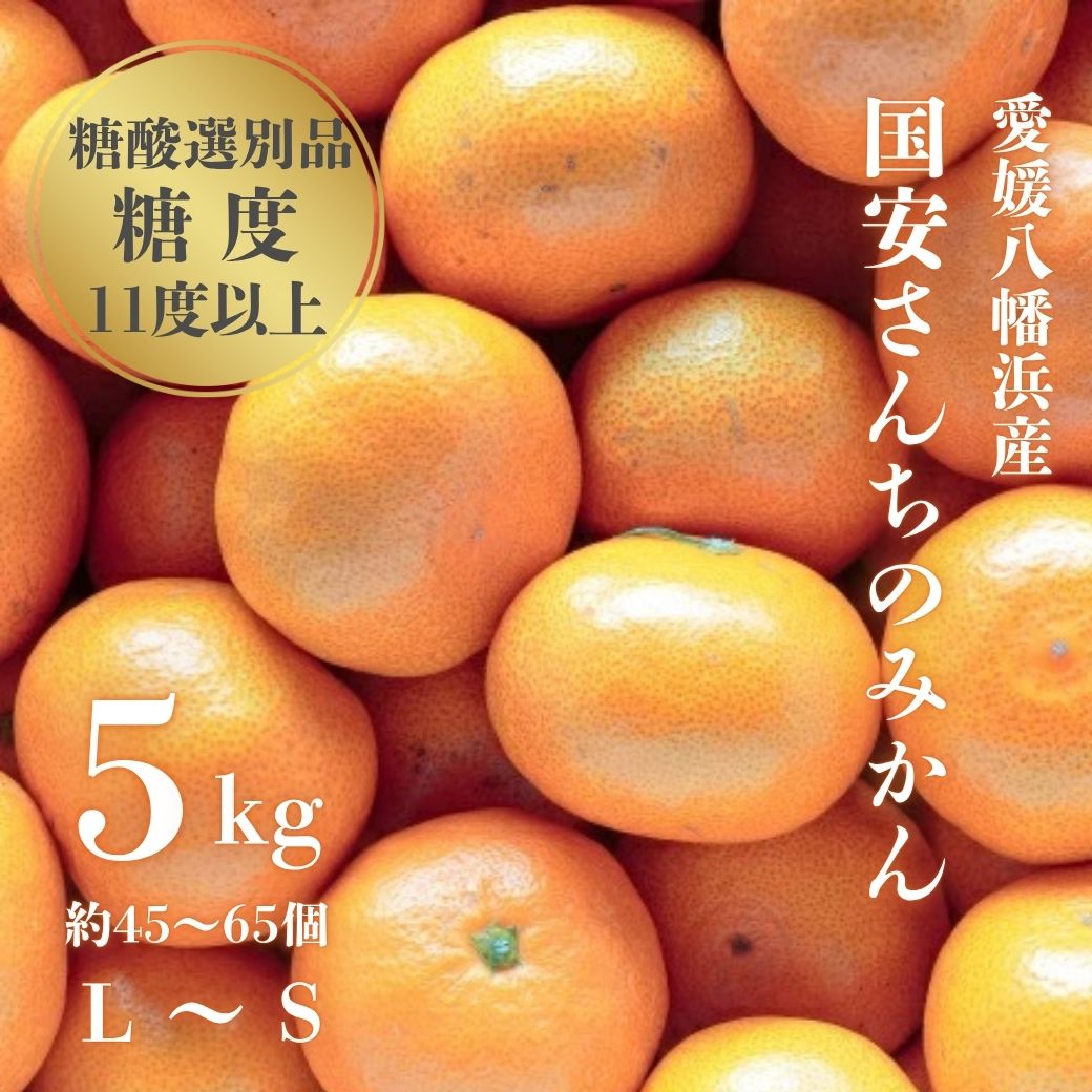 【糖度11度以上 酸1.0以下 糖酸選別品】愛媛みかん 5kg【D20-49】【1594923】 YWTI044