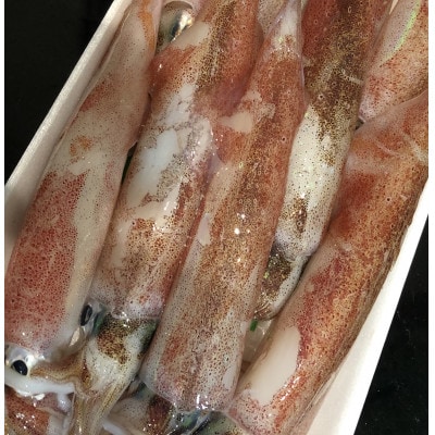 遶ケ荳ュ豌エ逕」縺ョ繧ェ繧ケ繧ケ繝。縲悟殴蜈医う繧ォ2繧ュ繝ュ莉・荳!縲阪色22-228縲代宣埼∽ク榊庄蝨ー蝓滂シ夐屬蟲カ縲代1060852縲