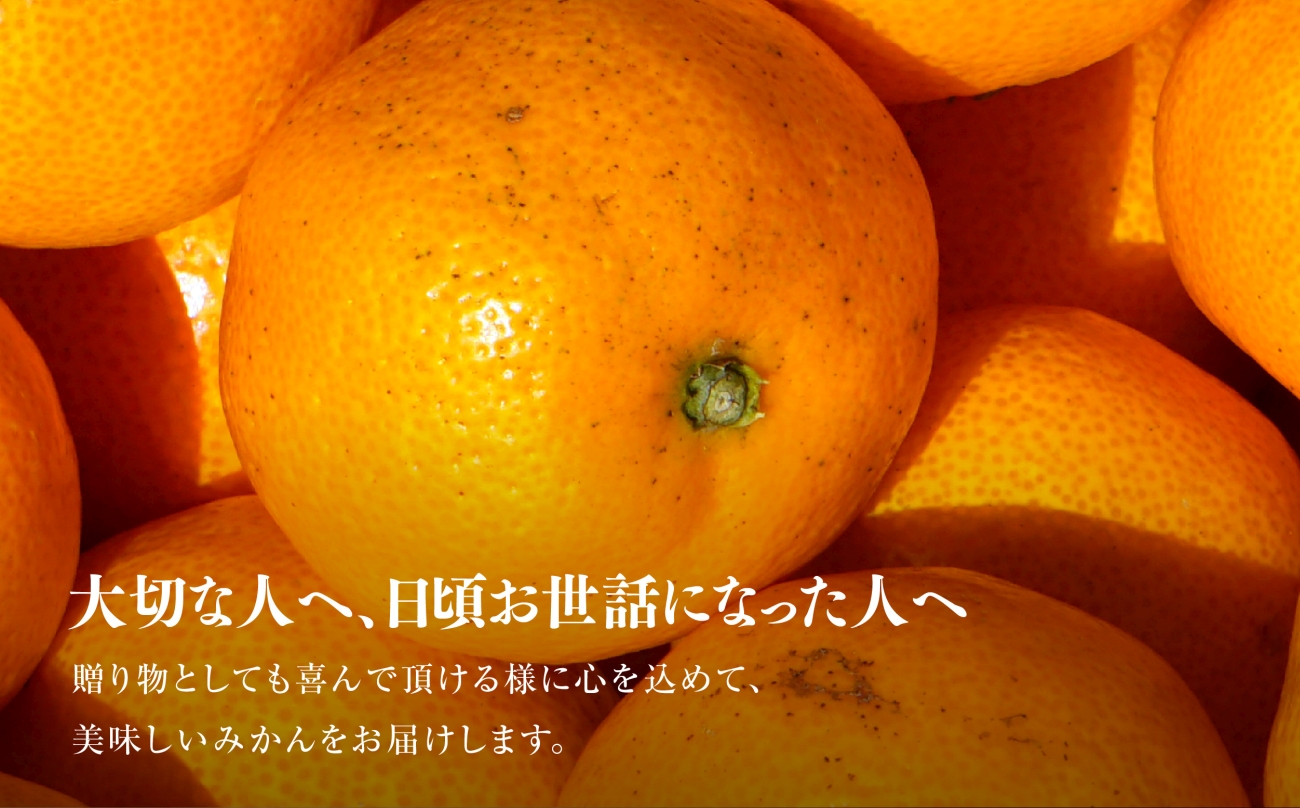 縲占ィウ縺ゅj縲第弌荵縺ソ縺九s蝨偵ョ譏滉ケ縺ソ縺九s(10kg)縲職45-64縲代1339361縲