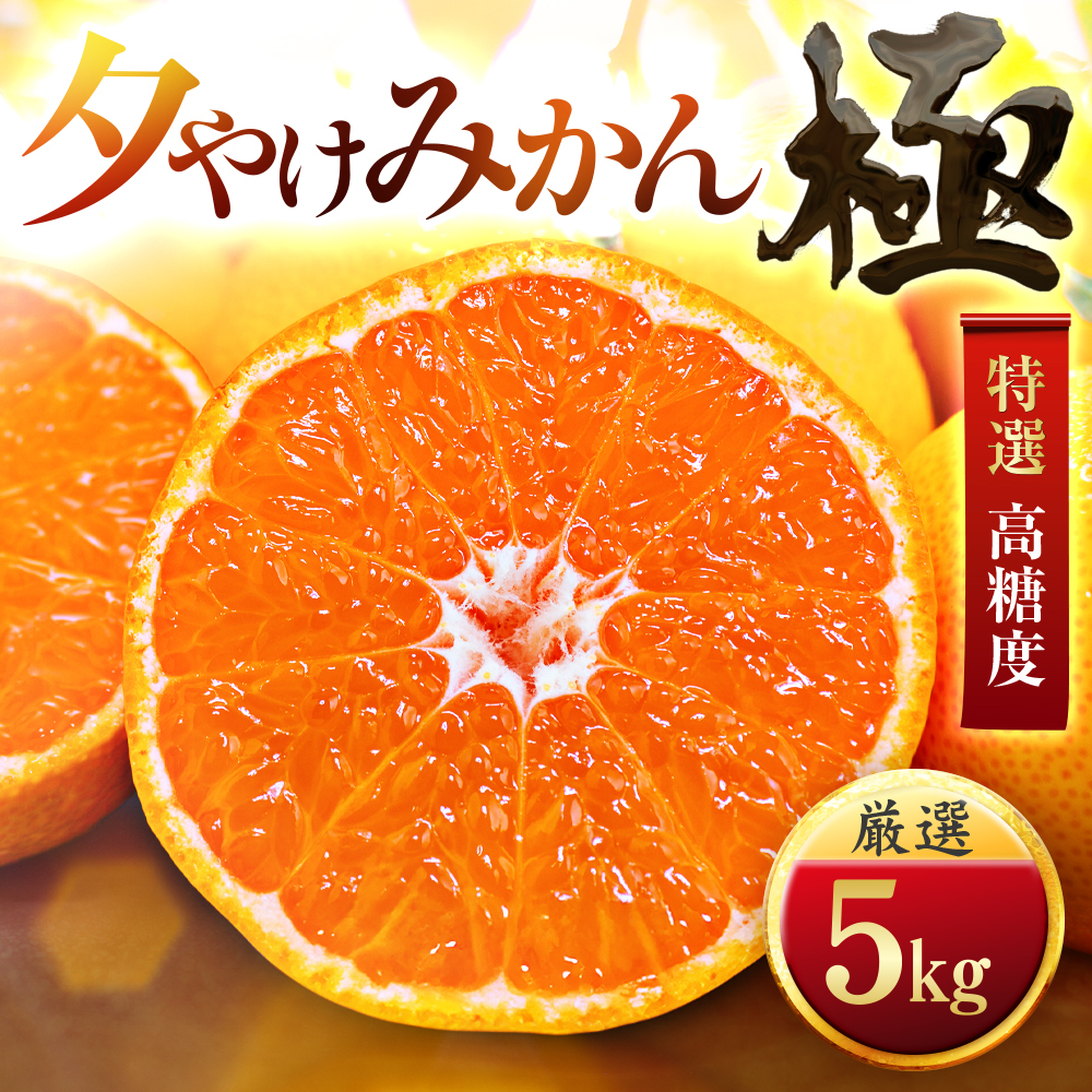 【甘みが濃縮されたみかん】愛媛で育った夕やけみかん【極】5kg【D49-8】【1243461】 YWTZ010