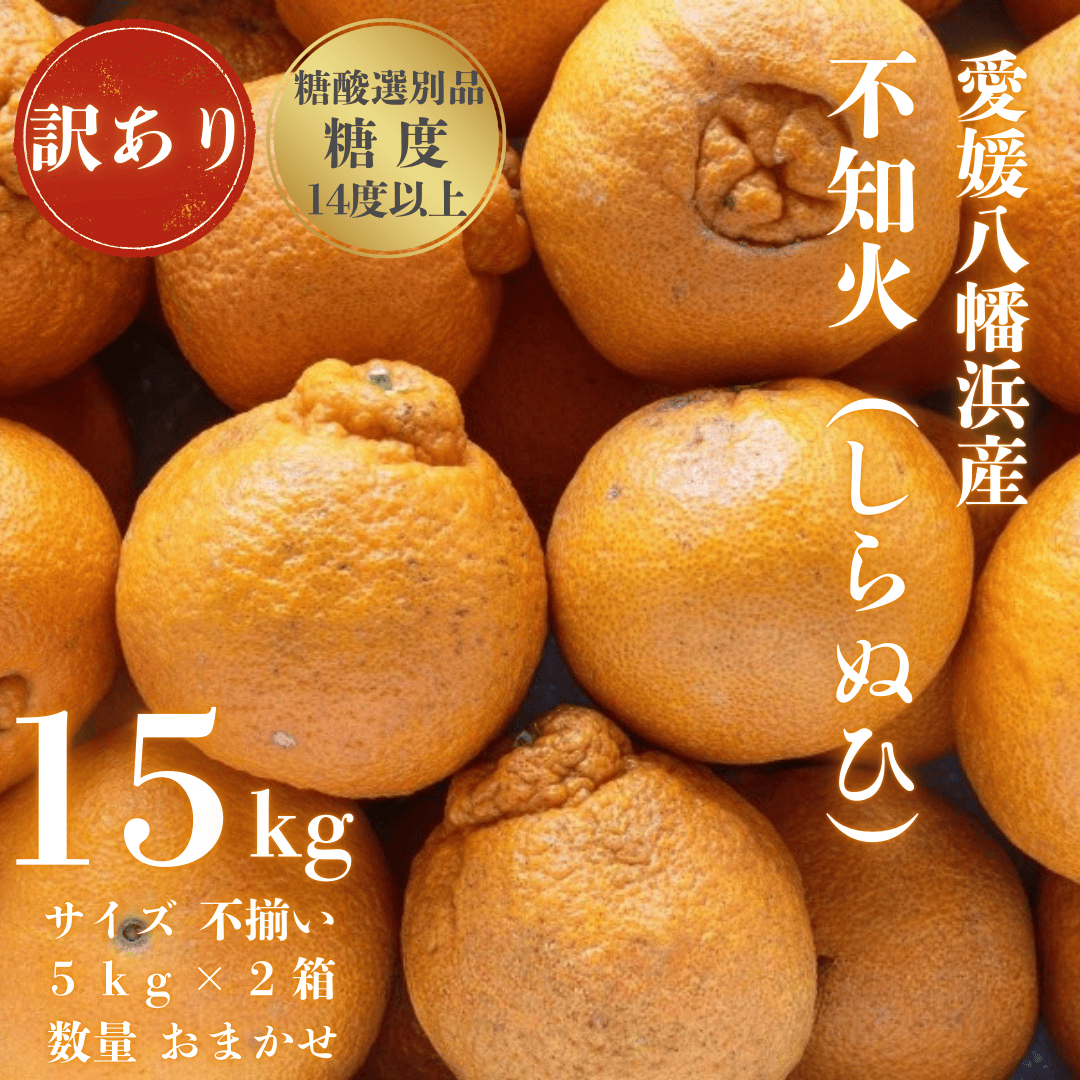 【糖度14.0以上酸1.4以下】糖酸選別品 愛媛産 訳あり不知火(しらぬひ)15kg【G20-96】【配送不可地域：離島】【1625364】 YWTI091
