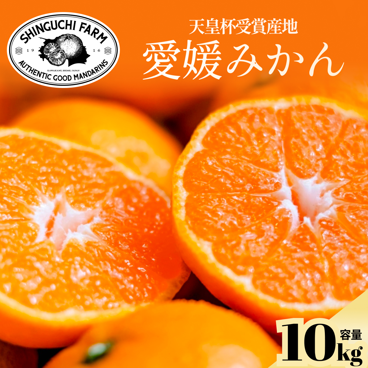 【太陽の恵みがギュッと凝縮】愛媛みかん10kg【小玉】農家直送 愛媛県川上産【F70-5】【1440741】 YWTK005