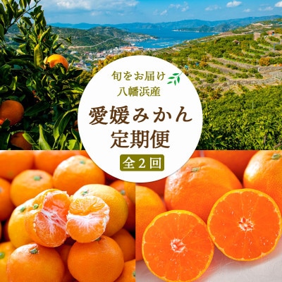 【発送月固定定期便】愛媛みかん5kg(秀)×愛媛みかん小玉6kg(訳)【F25-250】全2回【4070999】