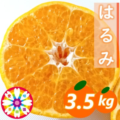 愛咲果樹園「はるみ」約3.5kg【C71-29】【1619092】