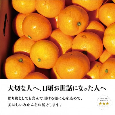 【三つ星ブランド】星乃みかん(4.5kg)【B45-90】【1582444】