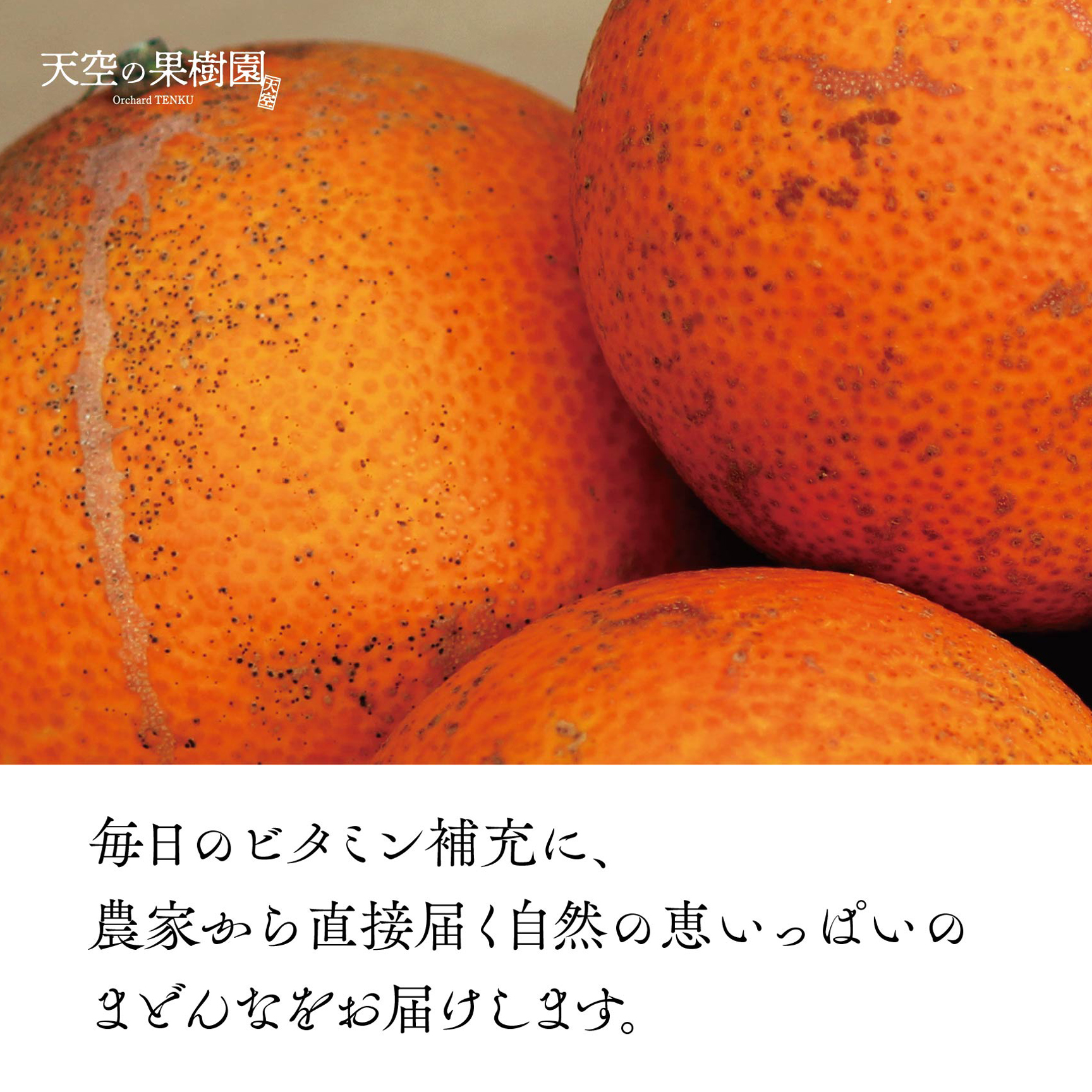 【先行受付】天空の果樹園から届く そらまどんな(3kg)【訳あり】【C95-5】【1668478】 YWTAQ005
