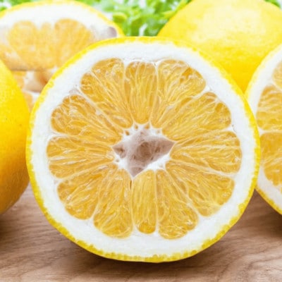 《果汁たっぷりジューシー》産地直送 愛媛八幡浜産 訳あり 河内晩柑20kg【G20-79】【1621480】