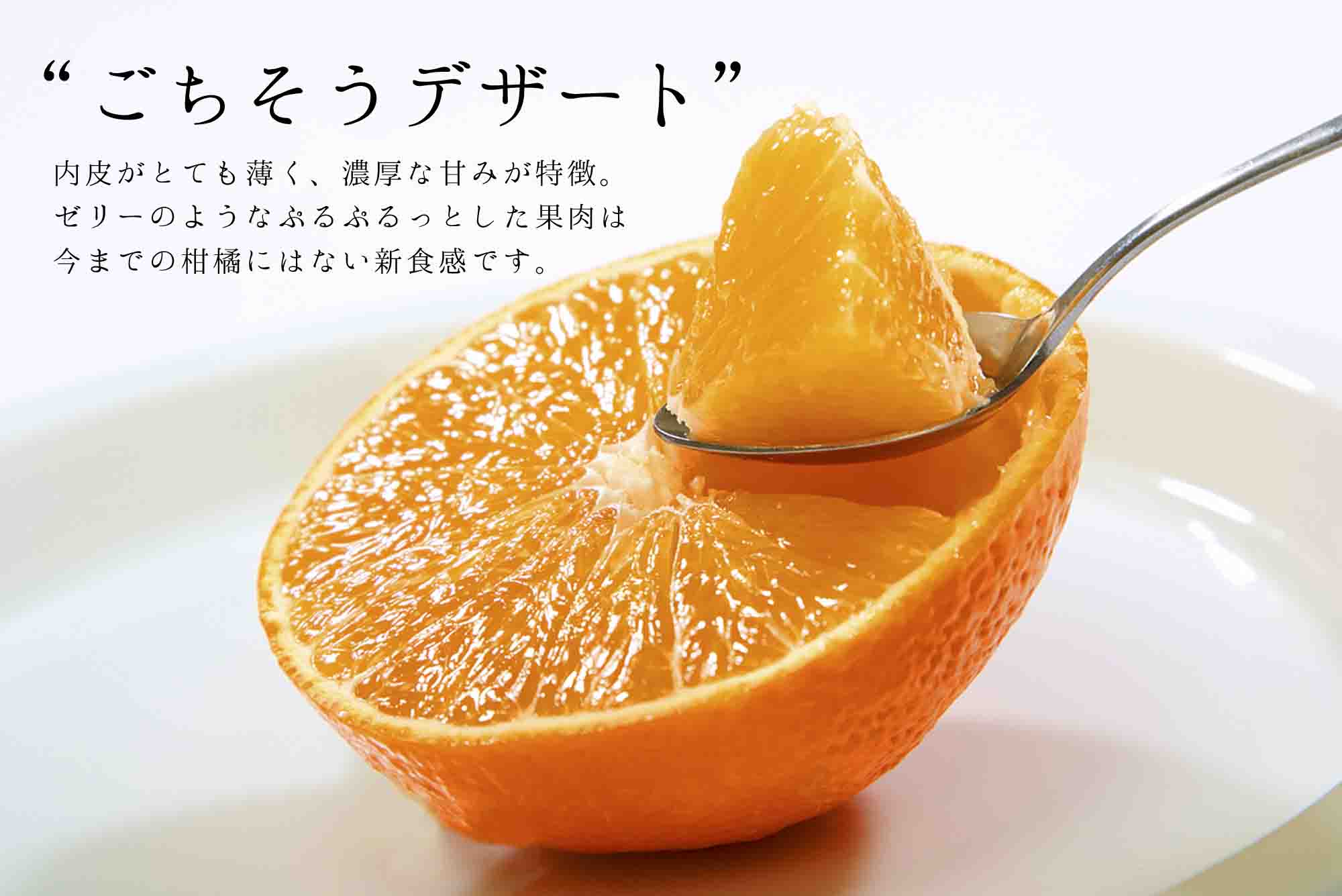 コウ果樹園の「厳選　華まどんな」3kg(4L〜L　8〜15玉)【E33-8】【1056129】 YWTG004