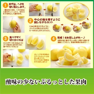 2026年2月発送開始　ジューシーな甘さ!「はるか」約5キロ　【C39-7】【配送不可地域：離島】【1280653】