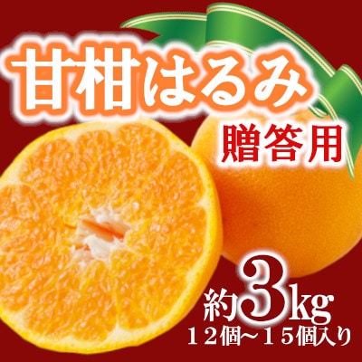 「甘柑はるみ」贈答用3kg【C79-23】【1474167】