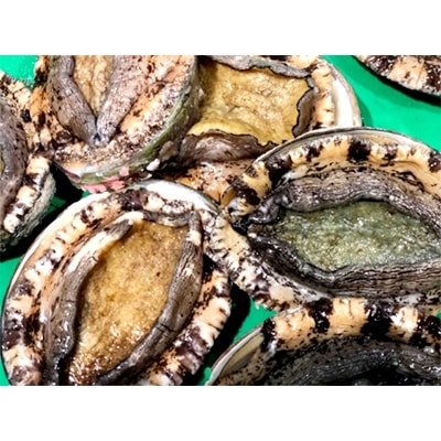 ç«¹äžæ°Žç£ã®å奜ã®å€§åã¢ã¯ã(1kgååŸ)!ãH22-227ããé
éäžå¯å°åïŒé¢å³¶ã»åæµ·éã»æ²çžçãã1060851ã