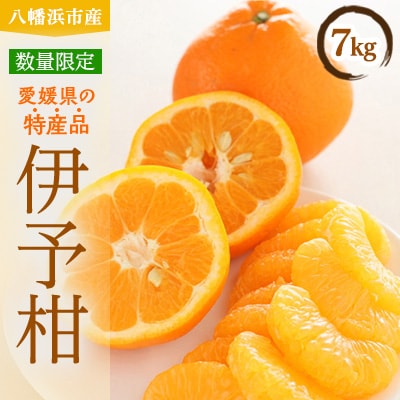 八幡浜産・伊予柑7kg[数量限定!]【C56-9】【1138964】