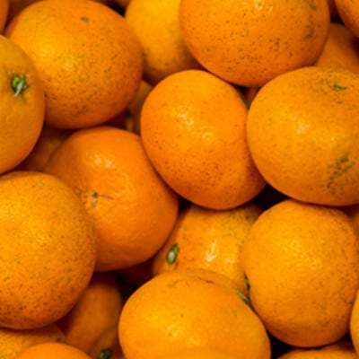 【訳あり】甘平 4kg 愛媛県 八幡浜市 西宇和地区 扁平で濃い味【E25-334】【1714526】