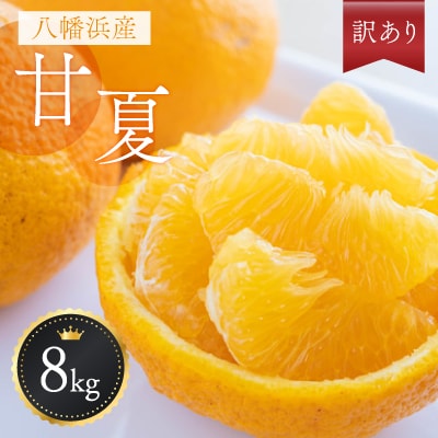 八幡浜産・甘夏8kg【訳あり】【C56-24】【配送不可地域：離島】【1293834】