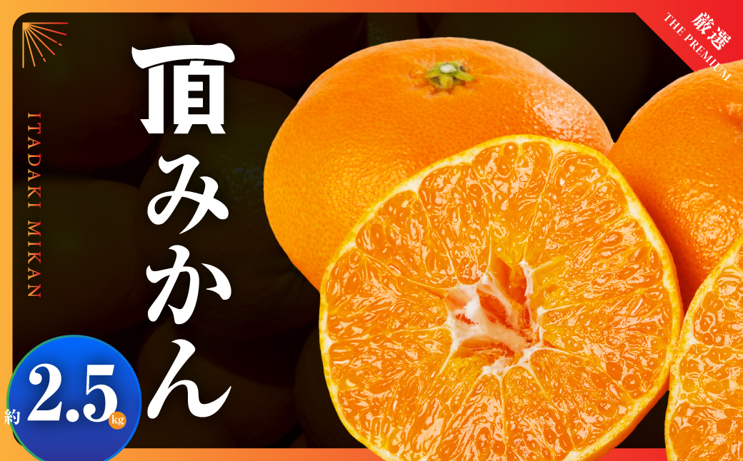 荳我サ」逶ョ縺後▽縺上k鬮伜刀雉ェ縲宣ゅ∩縺九s縲2.5kg縲植31-36縲代1509616縲 YWTAC025