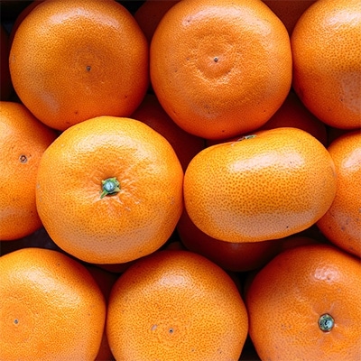 ＼みかんの大トロ/糖度12.0以上 酸1.4以下 糖酸選別品 愛媛セトカ 3kg【D20-7】【1094585】