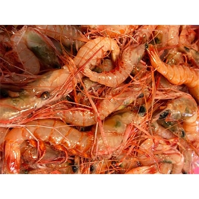 遶ケ荳ュ豌エ逕」縺ョ蝨ー豬キ閠(蜈ォ蟷。豬懃肇)邏1繧ュ繝ュ!縲燭22-269縲代宣埼∽ク榊庄蝨ー蝓滂シ夐屬蟲カ縲代1113599縲