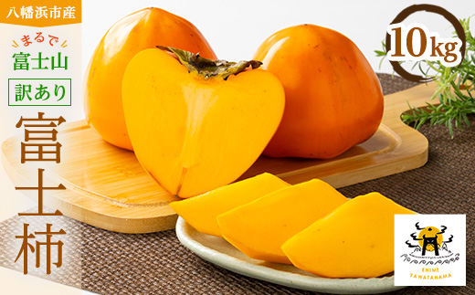 【2026年発送】目利きのプロが選ぶ　訳あり富士柿10kg【E56-38】【1452169】