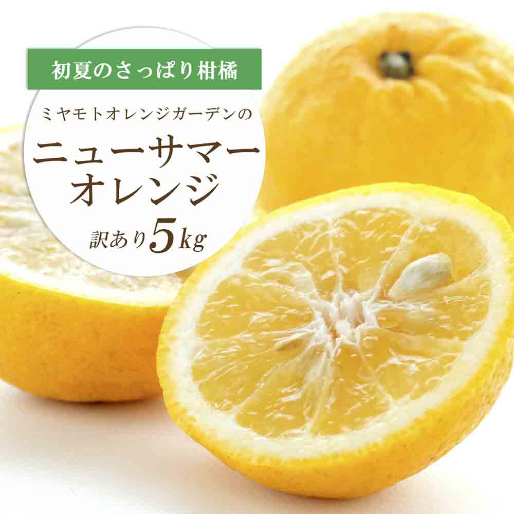 ワタまでおいしい ニューサマーオレンジ5kg(訳あり)【E25-140】【1268369】 YWTAP083