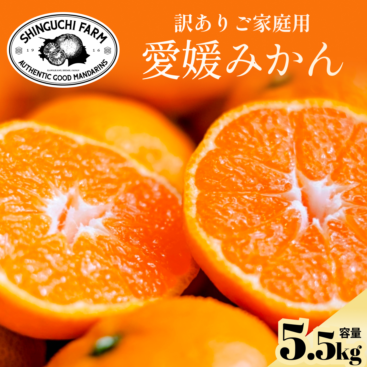 今シーズン発送開始!【訳あり】愛媛みかん 5.5kg 愛媛県産【A70-149】【1700901】 YWTK148