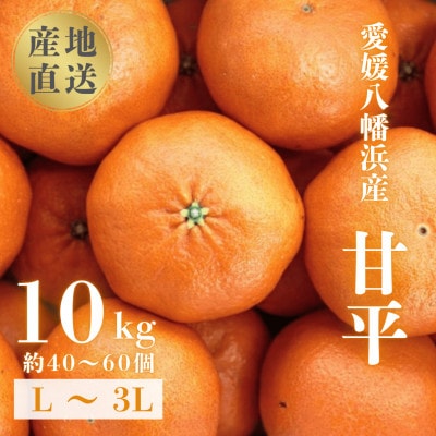 【愛媛が誇る 高級みかん 希少品種】甘平 (かんぺい) 10kg【H20-67】【1620337】
